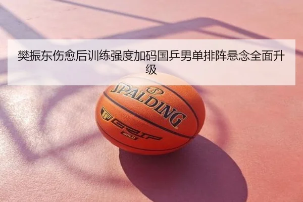 樊振东伤愈后训练强度加码国乒男单排阵悬念全面升级